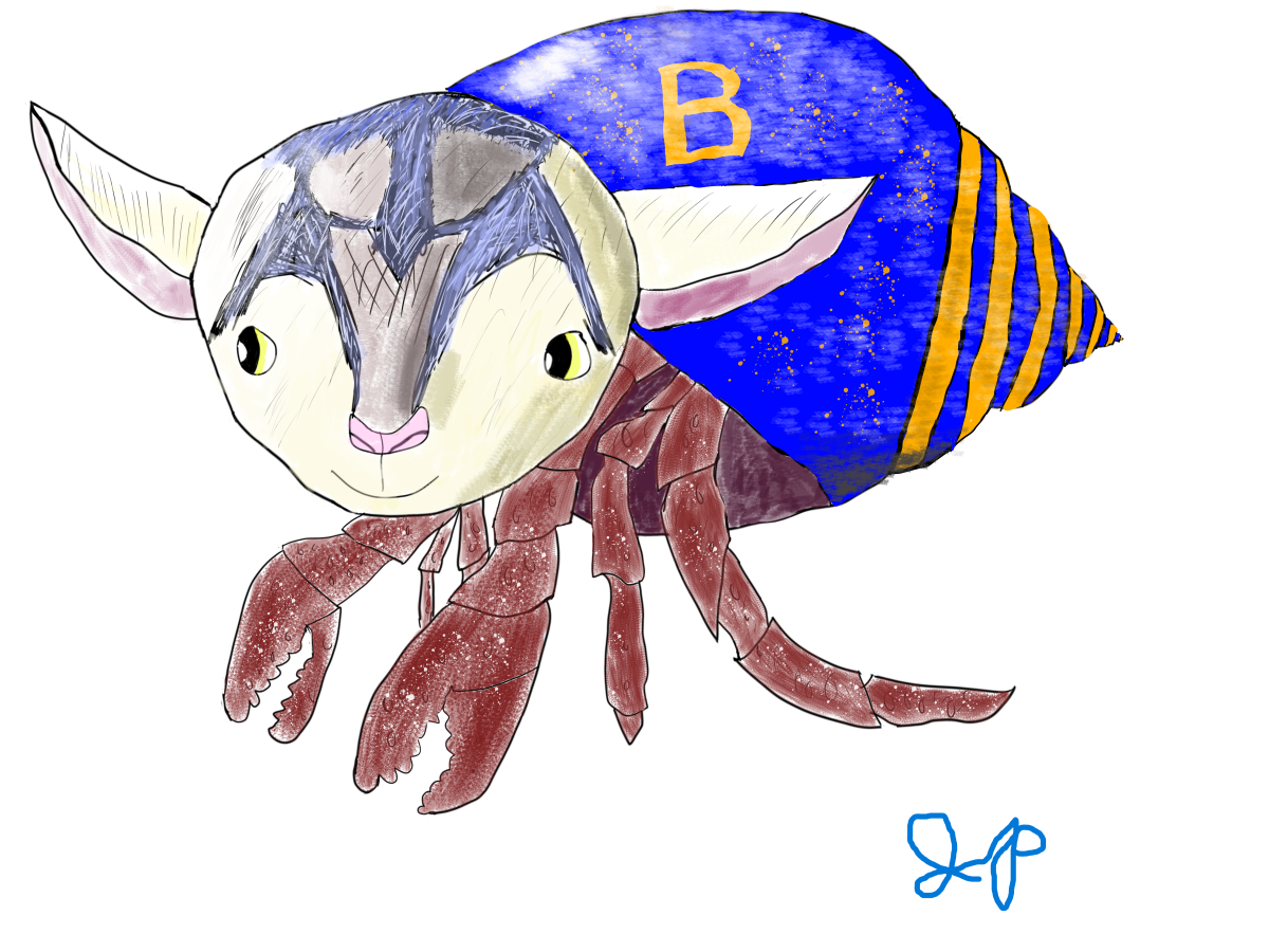 The Goat Crab with a Boise State colored shell