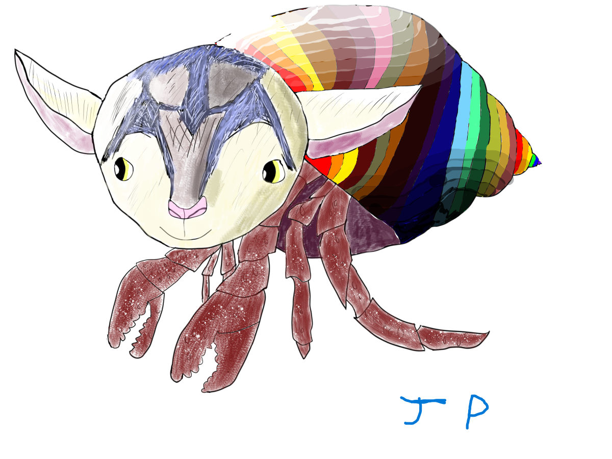 The Goat Crab with a multicolor shell